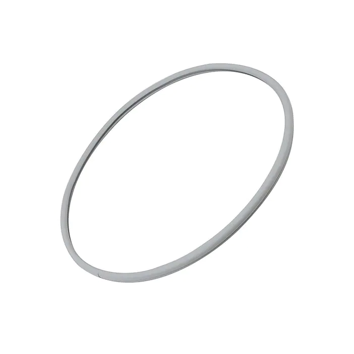 GUARNIZIONE ANTERIORE ASCIUGATRICE REX 1366063111