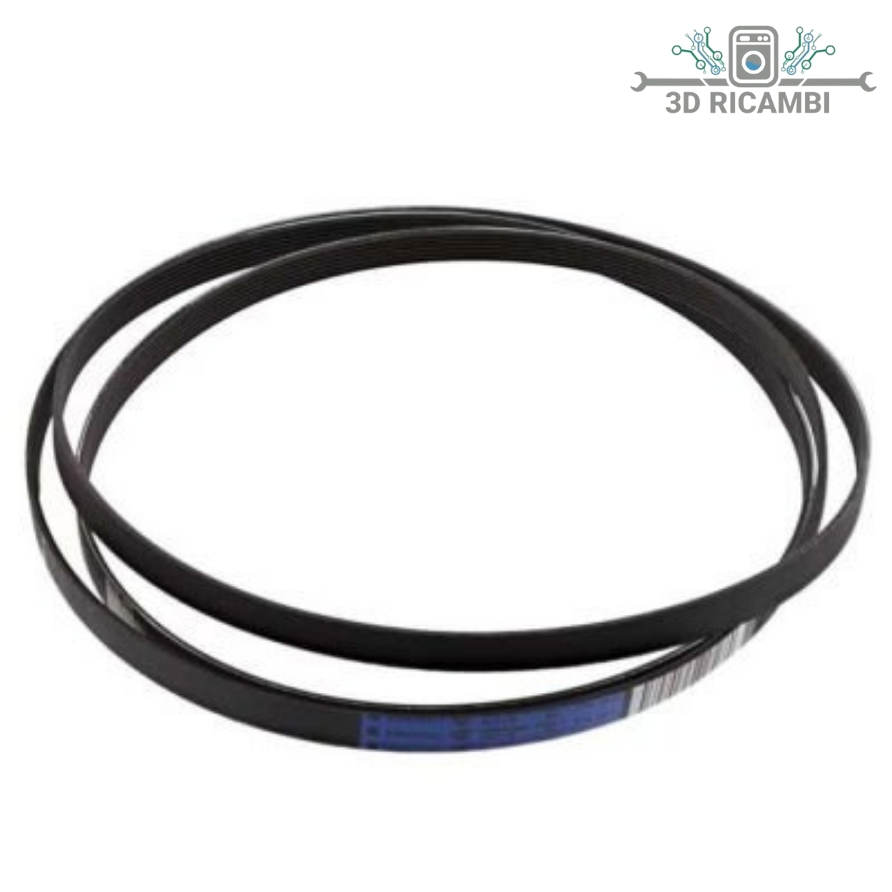 CINGHIA ASCIUGATRICE REX 140056254018/1971H7