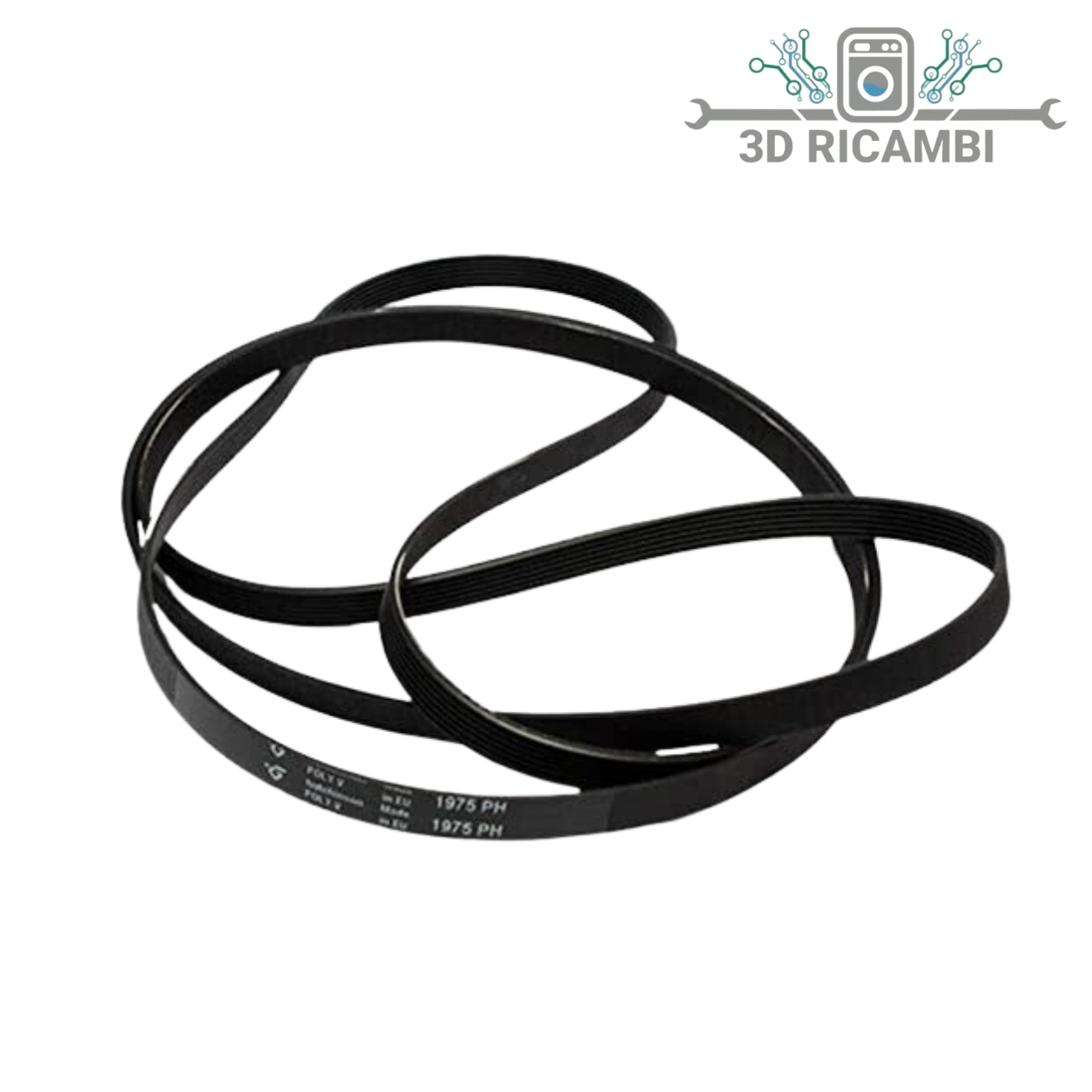 CINGHIA ASCIUGATRICE REX 1258288222-1975MM