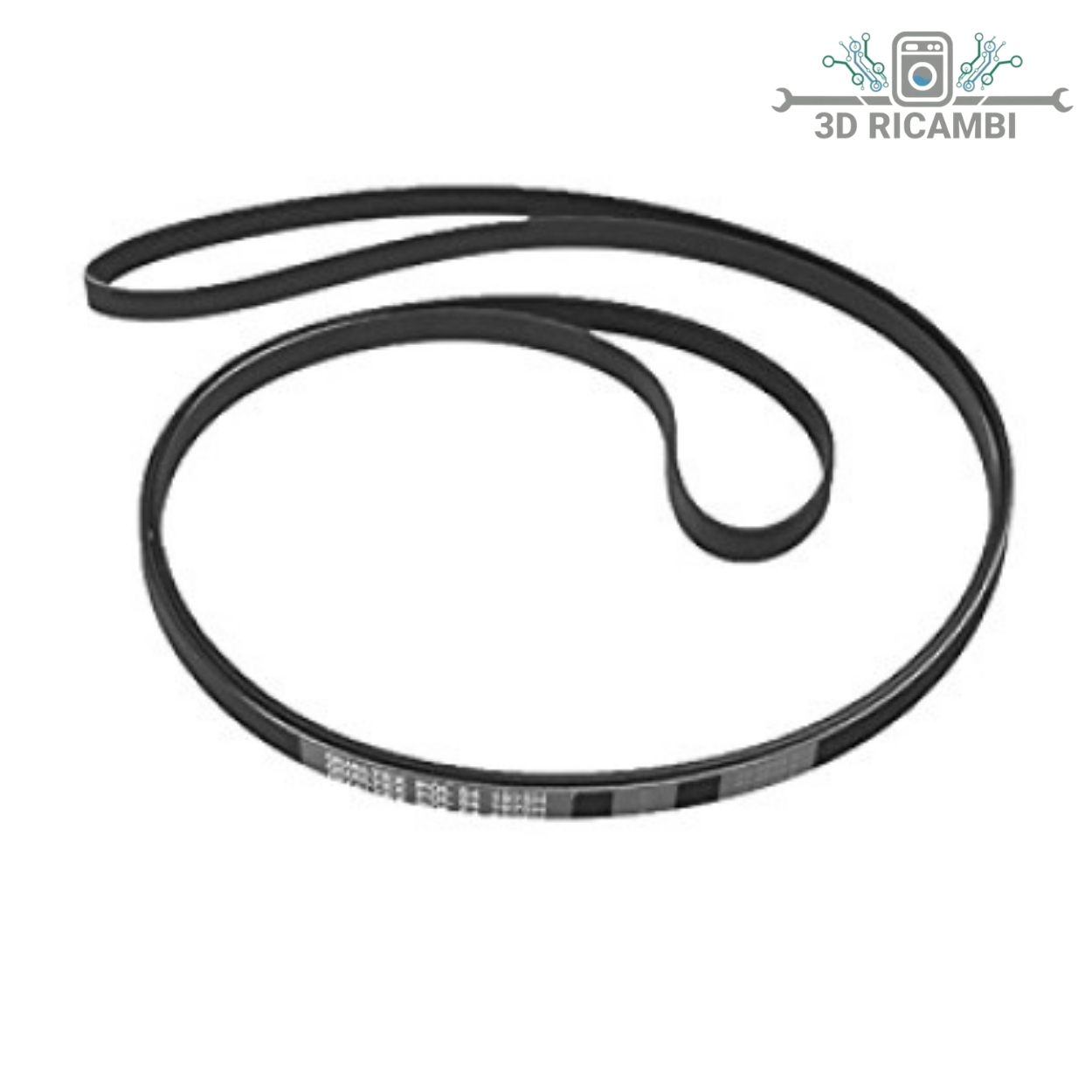 CINGHIA ASCIUGATRICE REX 1975H7