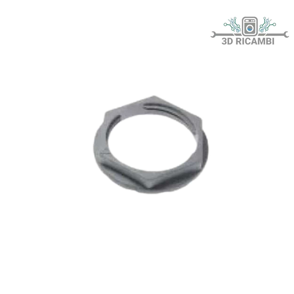 GHIERA SALE LAVASTOVIGLIE ARISTON C00256543